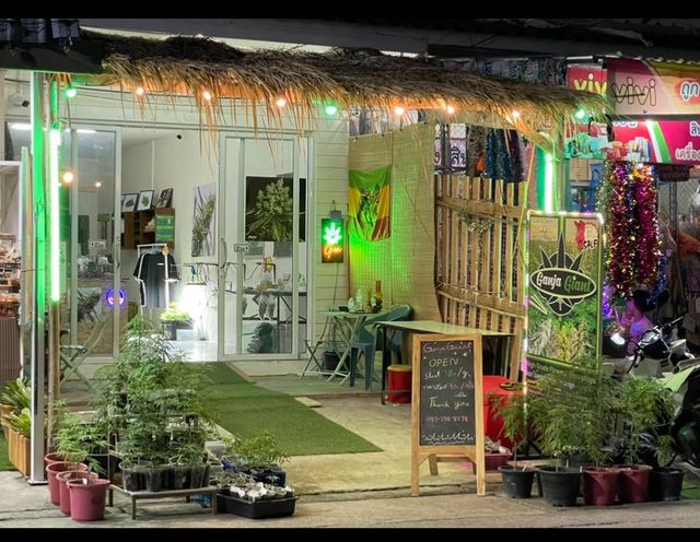 Ganja Giant - Hua Hin. (cannabis, Hash, Nicotine products & Beer storefront