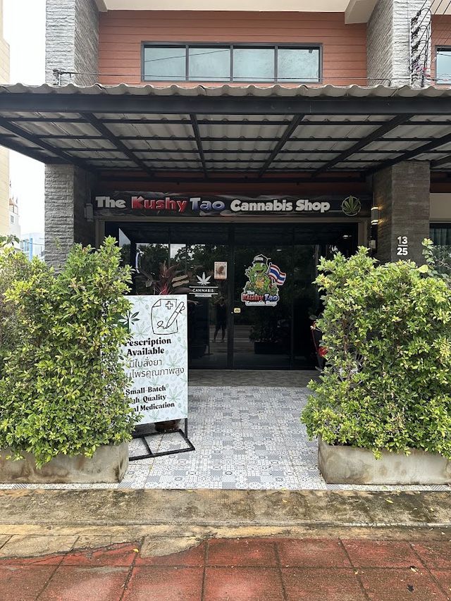 The Kushy Tao Cannabis Shop storefront