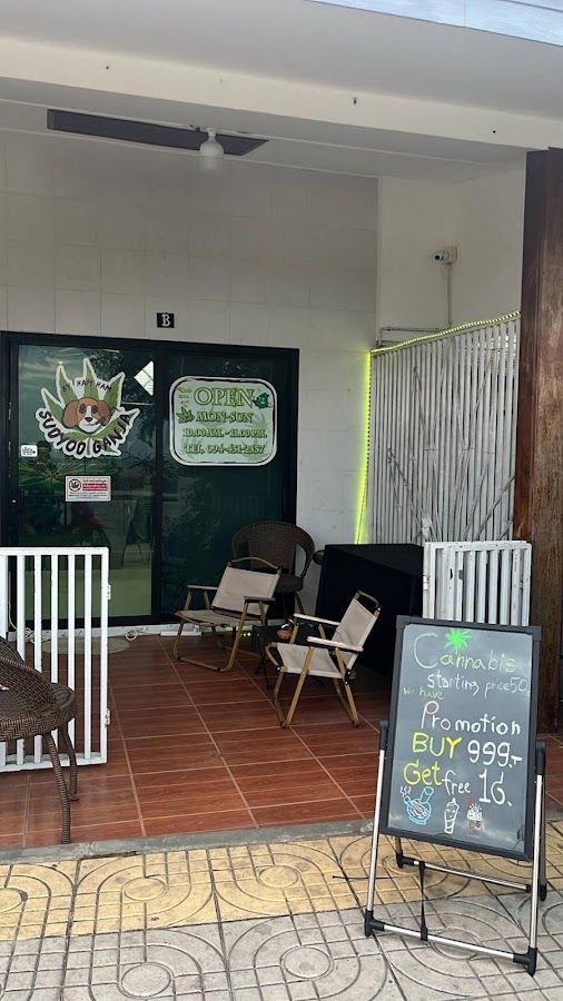 Cozy Cloud cannabis storefront