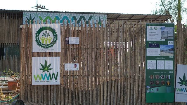 WONDER WEED วันเดอร์ วีด คาเฟ่ storefront