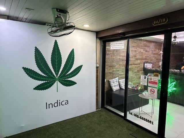 Velvet Weed Shop Pattaya | Premium Cannabis Dispensary storefront