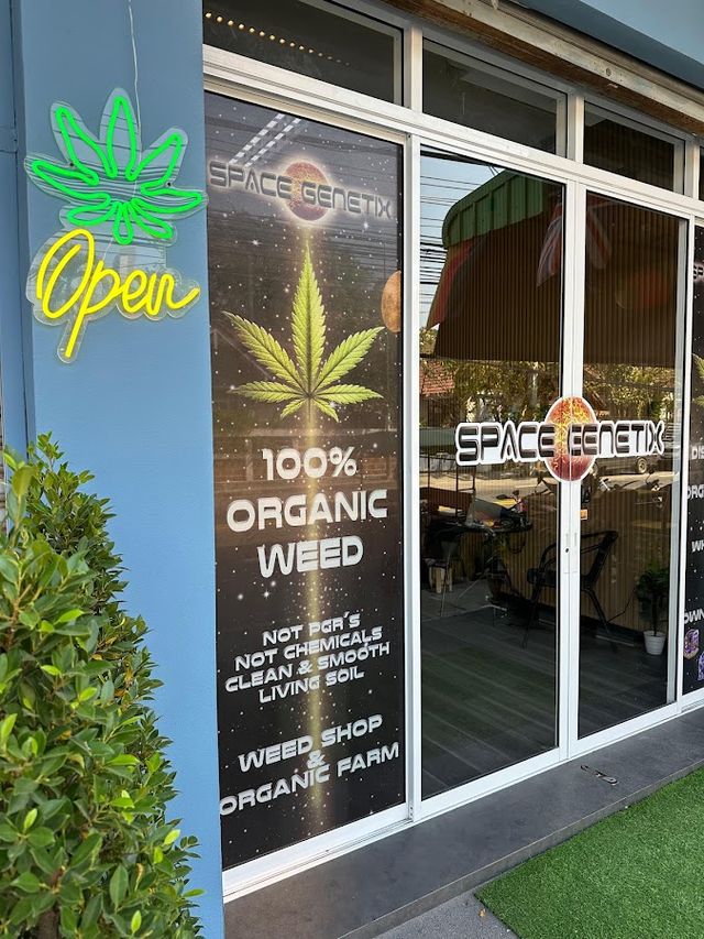 Space GenetiX Jomtien Cannabis/Weed Shop & Organic Farm storefront