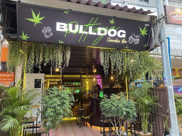 Bulldog cannabis & bar storefront