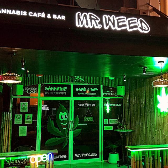MR.WEED storefront