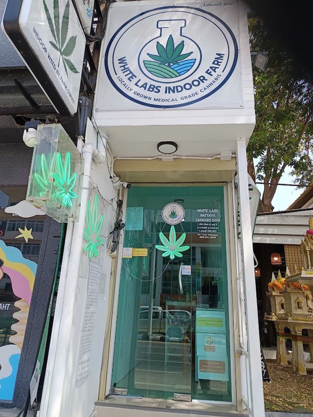 White Labs Pattaya Cannabis – Premium Cannabis & Weed Shop by Farm Owner storefront