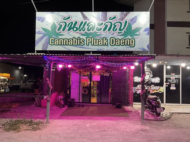 กันและกัญ cannabis pluakdaeng storefront