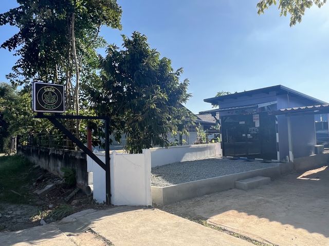 ยันยิ้ม มาบข่า Cannabis 420 storefront