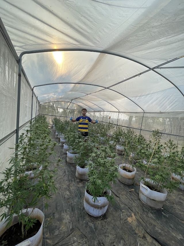 FA FARM CANNABIS สาขา2 storefront