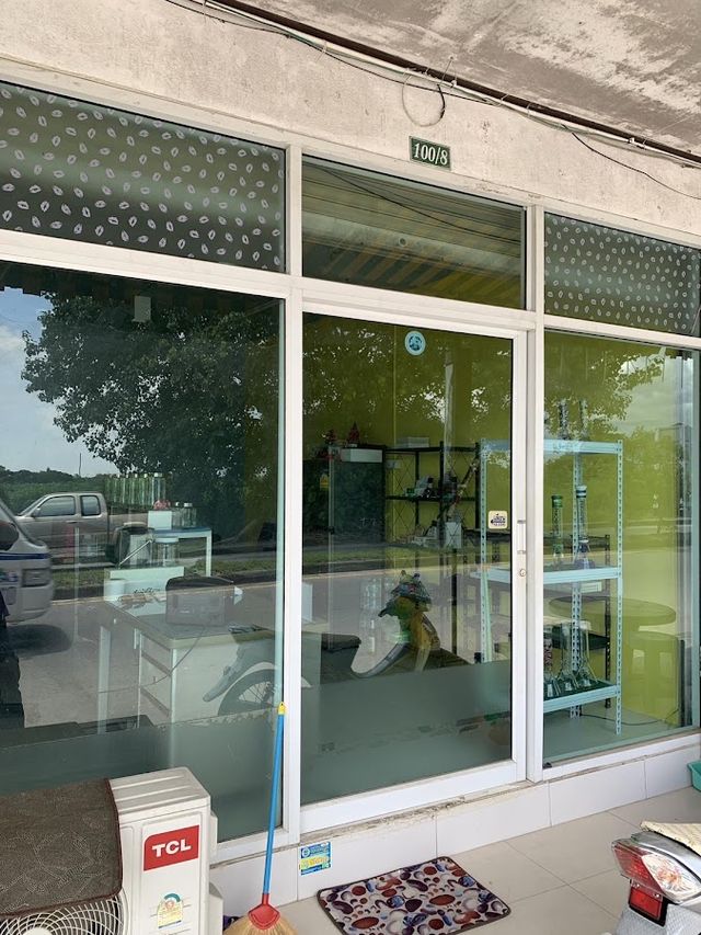 The duck weed shop storefront