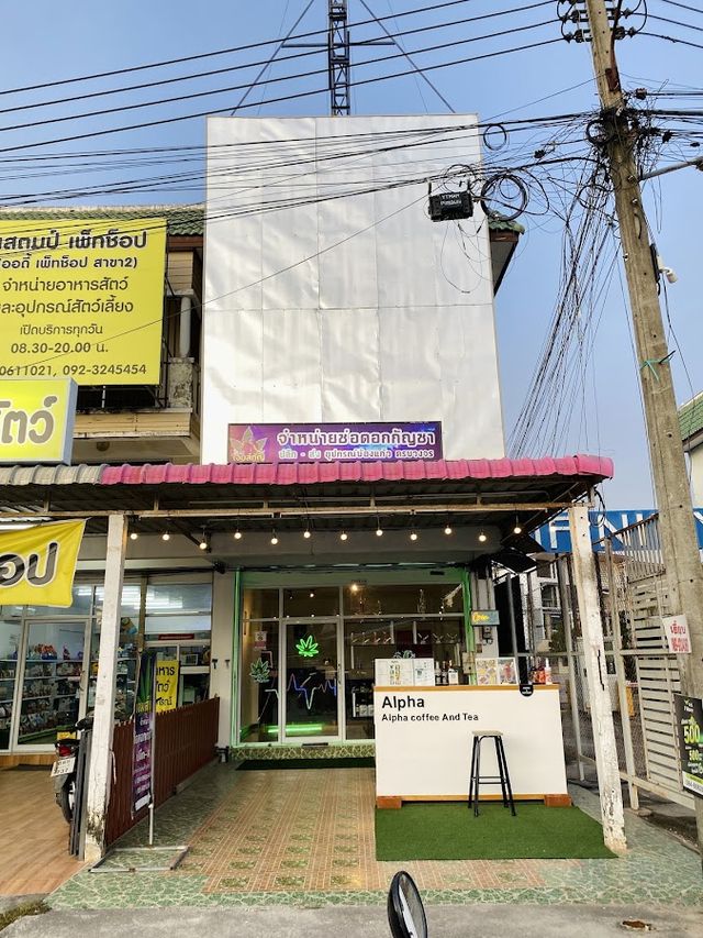 Jame Cannabis เจมส์กัญทับมาระยอง storefront
