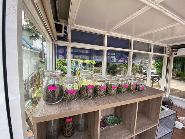 Dope House Cannabis Shop storefront