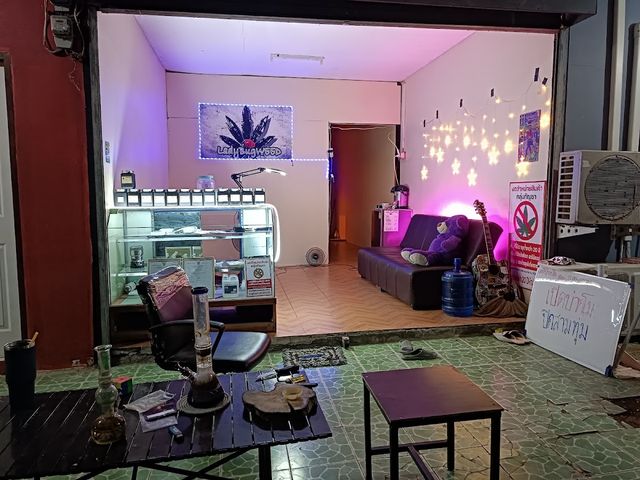 Ladybug Weed storefront