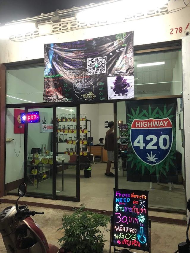 FROGX GENETIC WEED STORE storefront