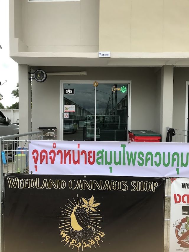 WEEDLAND cannabis shop storefront