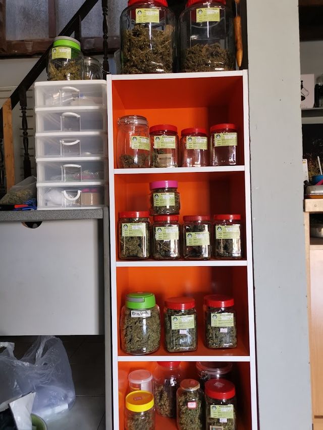 SK.Cannabis Shop storefront