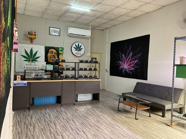 PED ZA 420 CANNABIS SHOP storefront