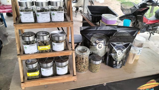 Check-in Cannabis storefront