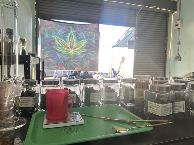 SayTop Cannabis storefront
