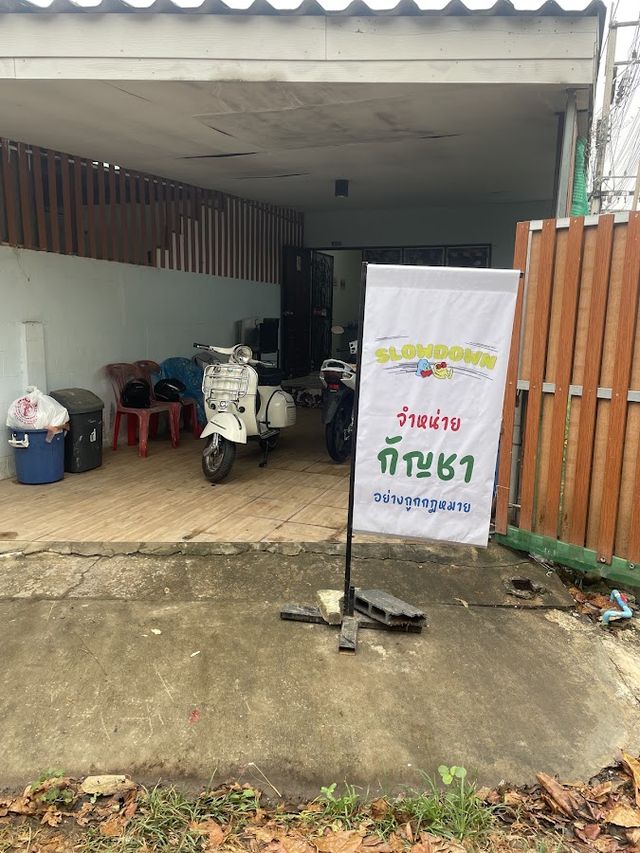 Slow down 420 storefront
