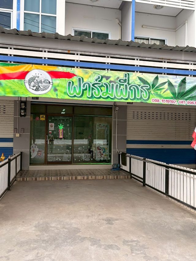 ร้านกัญชาฟาร์มพี่กร Cannabis storefront