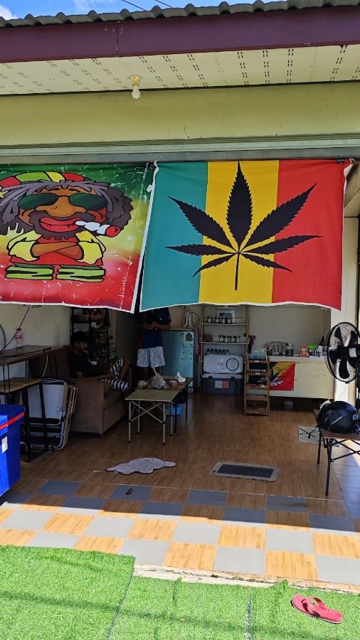 ร้านกัญชา ต้นไม้ยิ้ม Cannabis Shop storefront