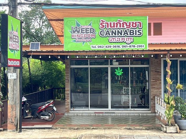 Weed Kingdom storefront