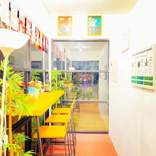 Overdose Cannabis Dispensary storefront