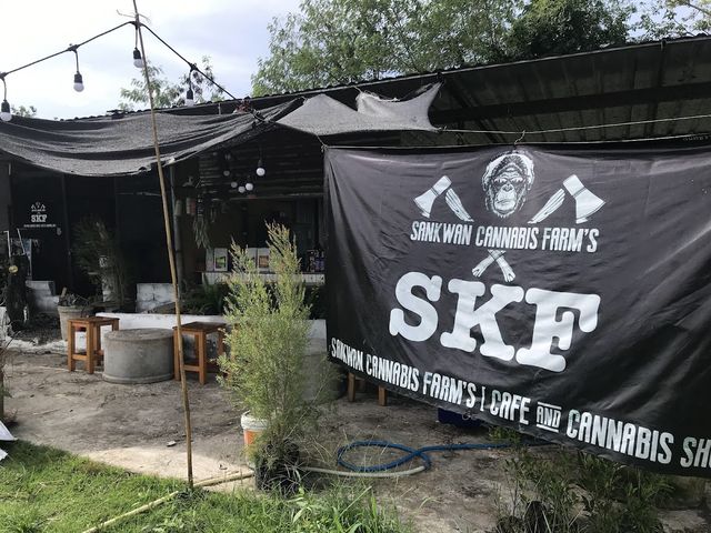 SanKwan Cannabis Farm’s ( Cafe & Cannabis ) storefront