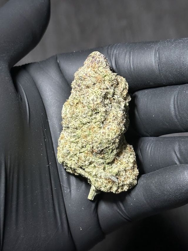 ราชันย์กัญชา Cannabis storefront