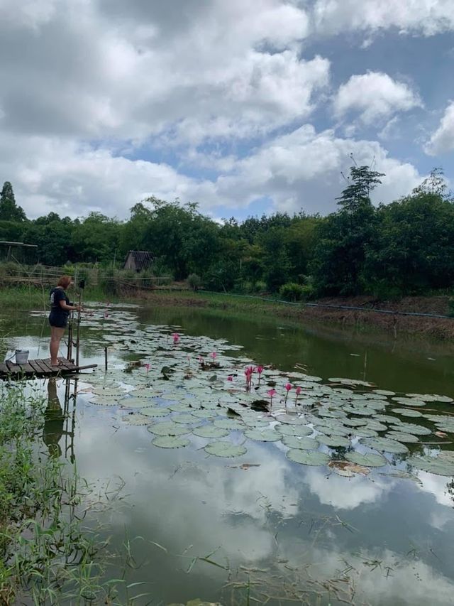 Cannabis Sa Kaeo Farm storefront