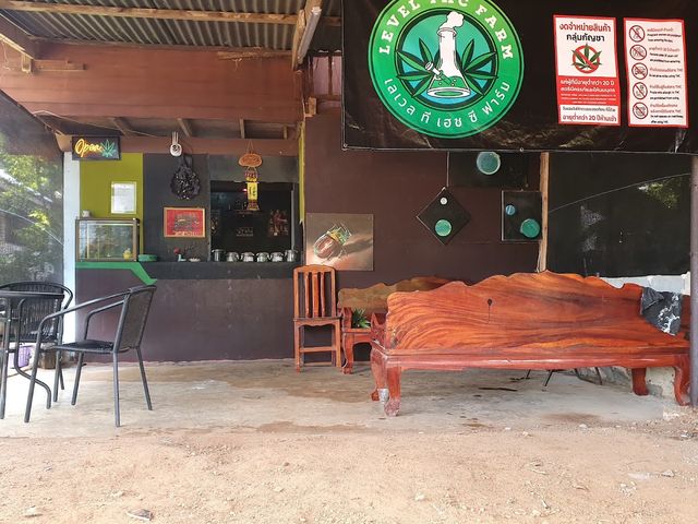 ร้านกัญชา level THC farm storefront
