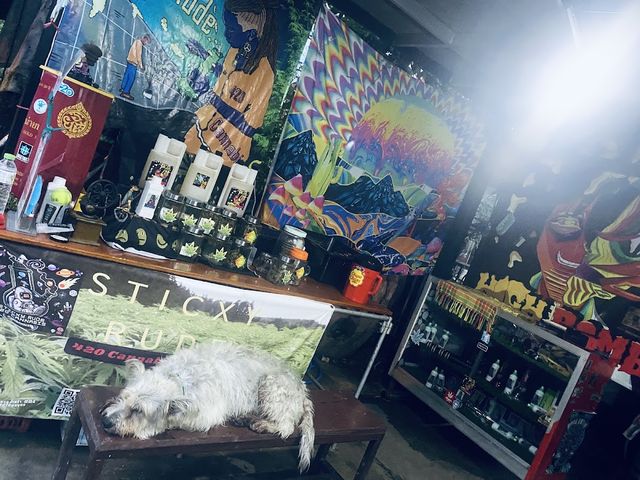 Sticxy Rude 420 Cannabis storefront