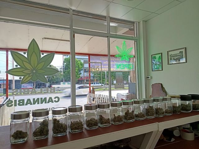 ร้านขายกัญชา เบลาบิส แคนนาบิส BELABIS CANNABIS DISPENSARY storefront