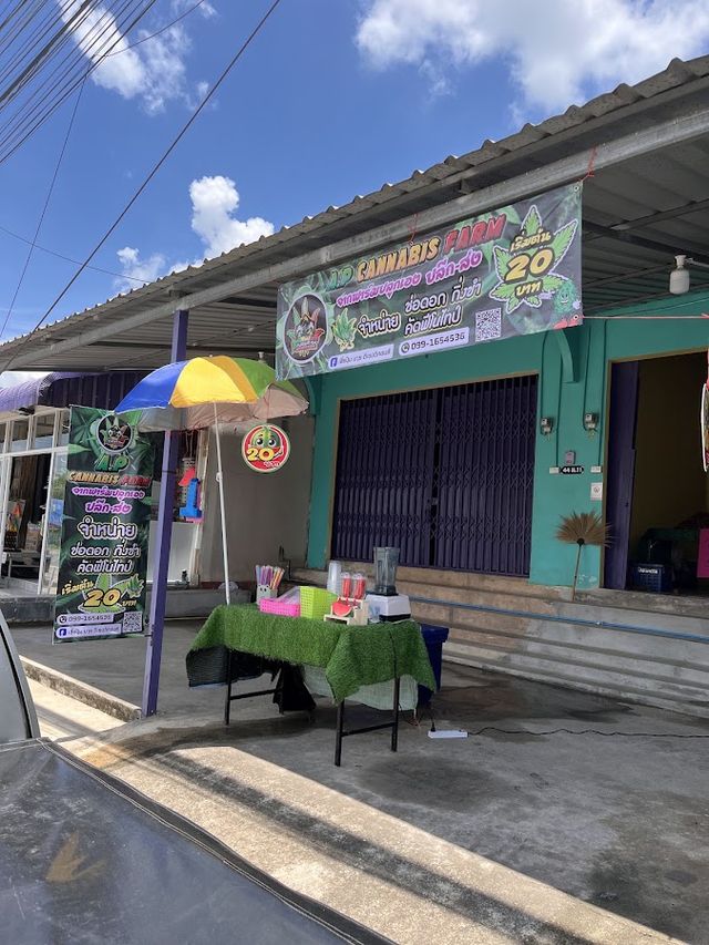 A.P Cannabis Farm แยกเนินหิน จากฟาร์มปลูกเองฟาร์มกัญชาพนัสนิคมชลบุรี storefront