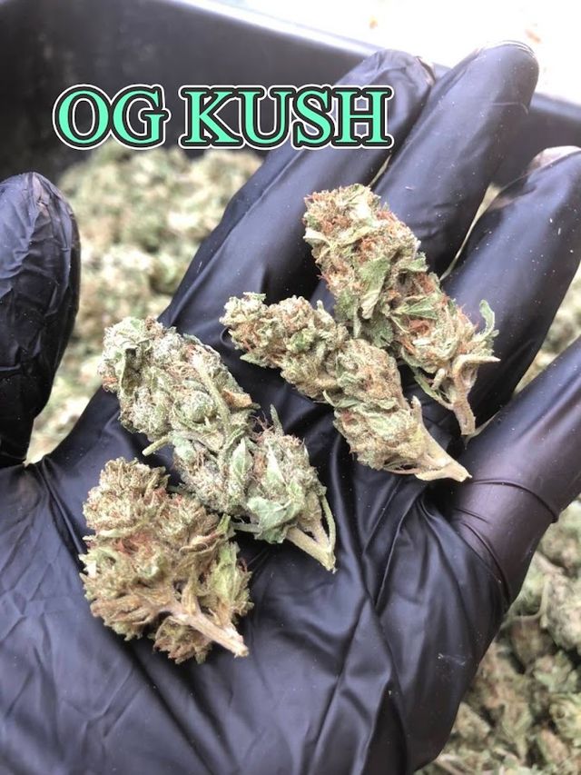 Cannabis of Thailand storefront