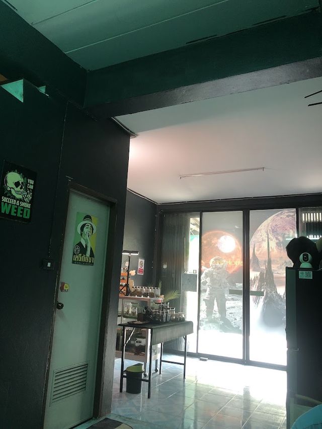 MOON WEED storefront