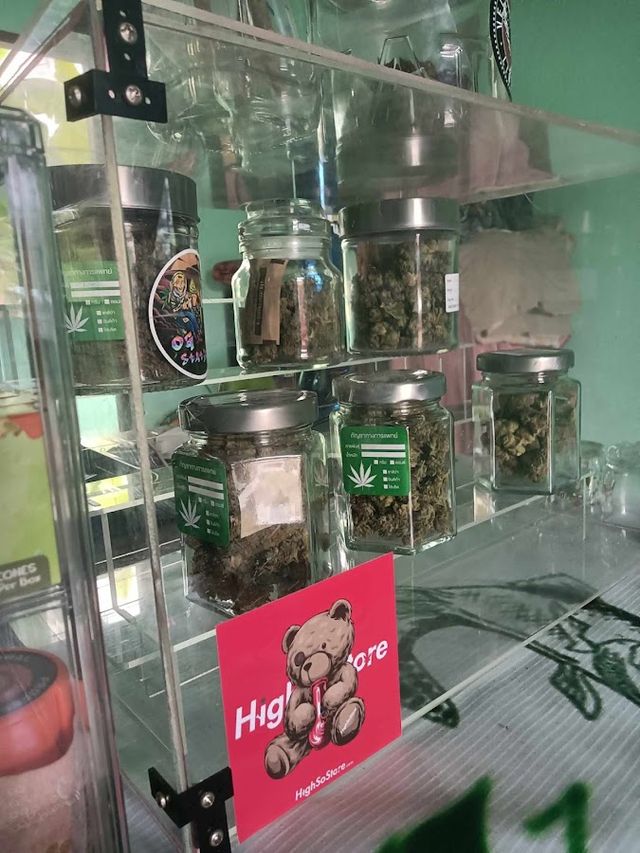 Y2M CANNABIS WEED 420 storefront