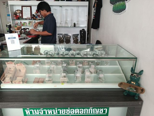 95ออร์แกนิก weed shop storefront