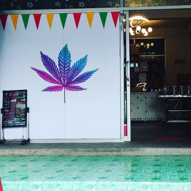 Wiz Weed ร้านขายกัญชา( gunja shop) storefront
