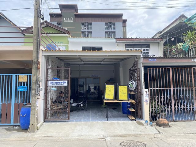 Rich Organic 420 (ริช ออร์แกนิค 420) Marijuana storefront