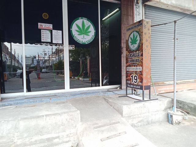 ร้านกัญชาใกล้ฉัน Lasalle Cannabis Weed Store สาขาอุดมสุข storefront