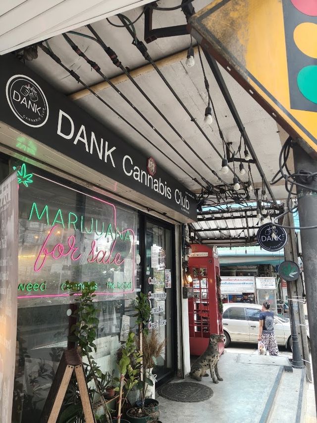 DANK Cannabis Club storefront