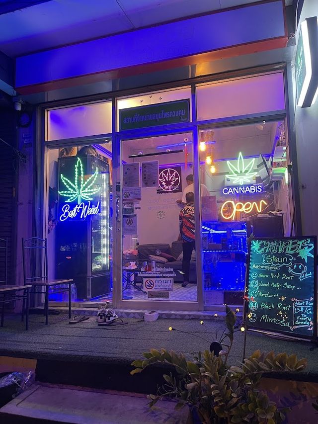 ร้านกัญชา Best weed cannabis storefront