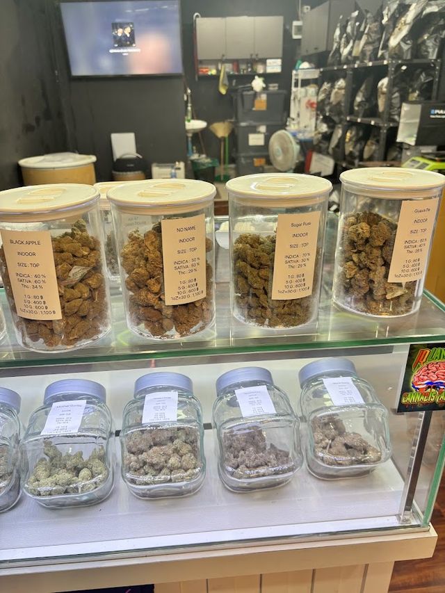 IQTR sativa cannabis L storefront
