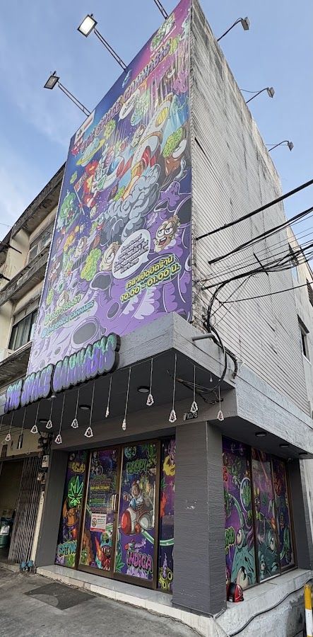 The space cannabis storefront