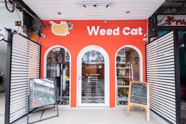 Weed Cat - premium cannabis (มีบริการจัดส่ง) storefront
