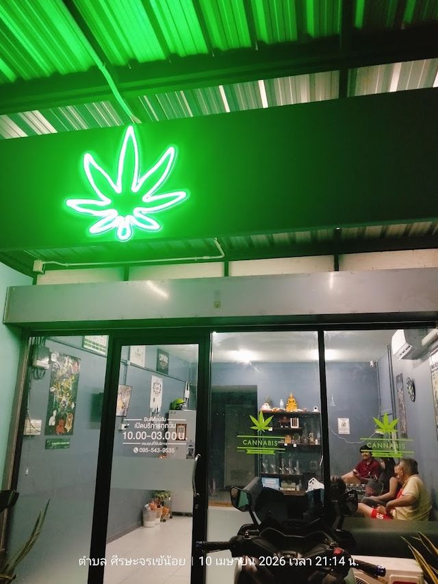 CANNABIS AREA(ร้านกัญชาใกล้ฉัน54) storefront