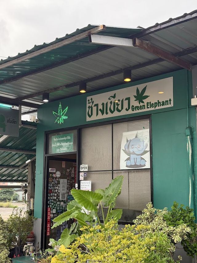 Green Elephant storefront