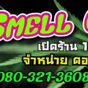 SMELL CANNABIS storefront