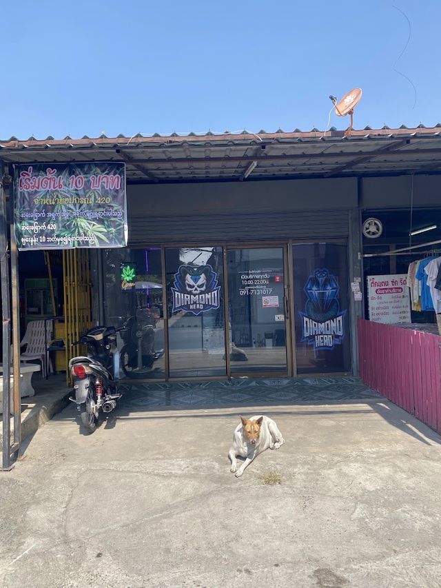 ร้านกัญชา Diamond head Cannabis 420 storefront